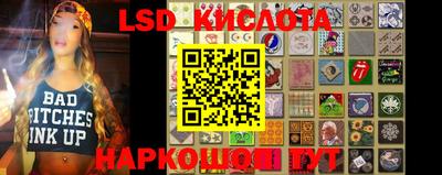крисы Новодвинск