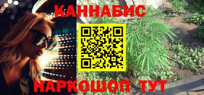 крисы Новодвинск