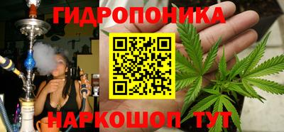 метадон Новозыбков