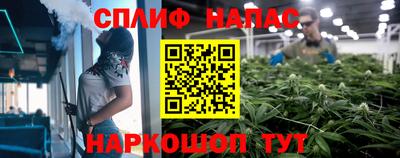 СК Нягань