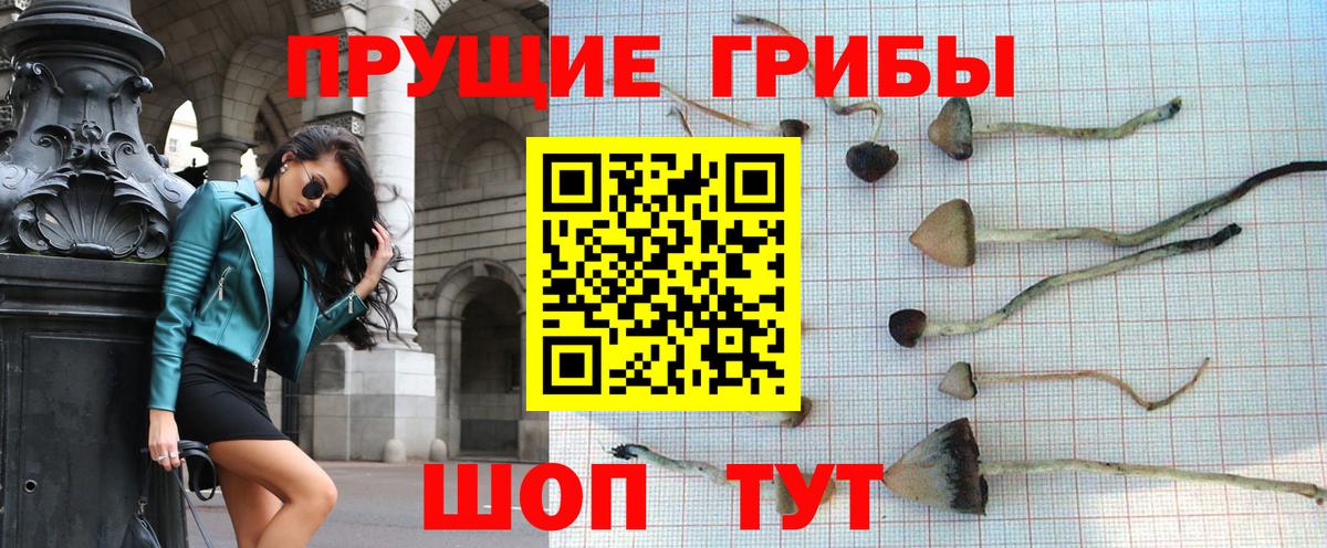 Советская Гавань  Псилоцибиновые грибы мицелий  Вход с VPN  Псилоцибиновые грибы ЛСД 