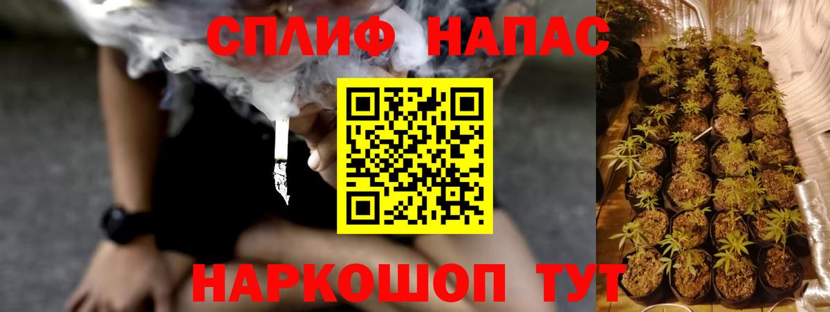 Конопля марихуана Советская Гавань